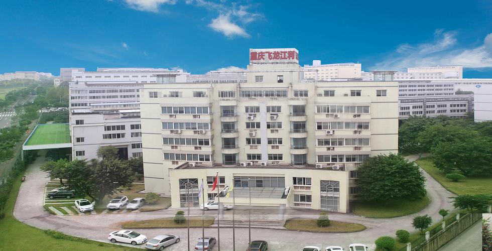 重庆飞龙江利汽车部件_飞龙汽车部件股份